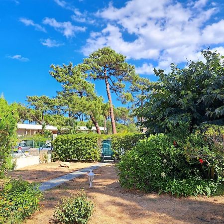 Mini Villa Jardin 50 M Plage Borgo  Εξωτερικό φωτογραφία