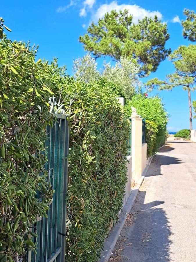 Mini Villa Jardin 50 M Plage Borgo  Εξωτερικό φωτογραφία