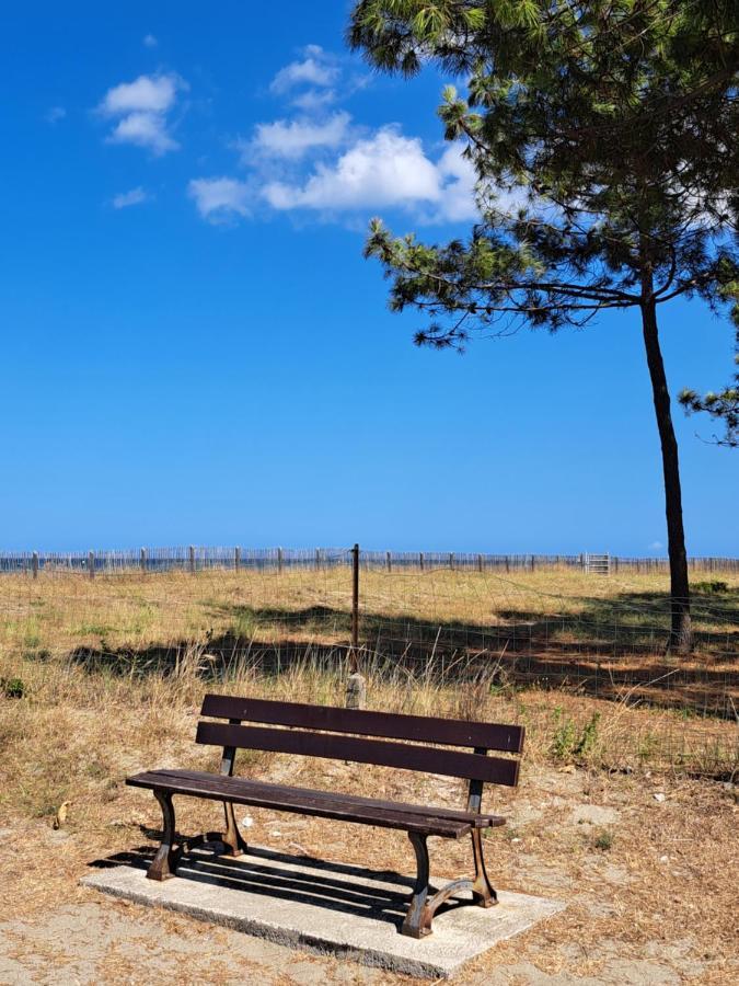 Mini Villa Jardin 50 M Plage Borgo  Εξωτερικό φωτογραφία