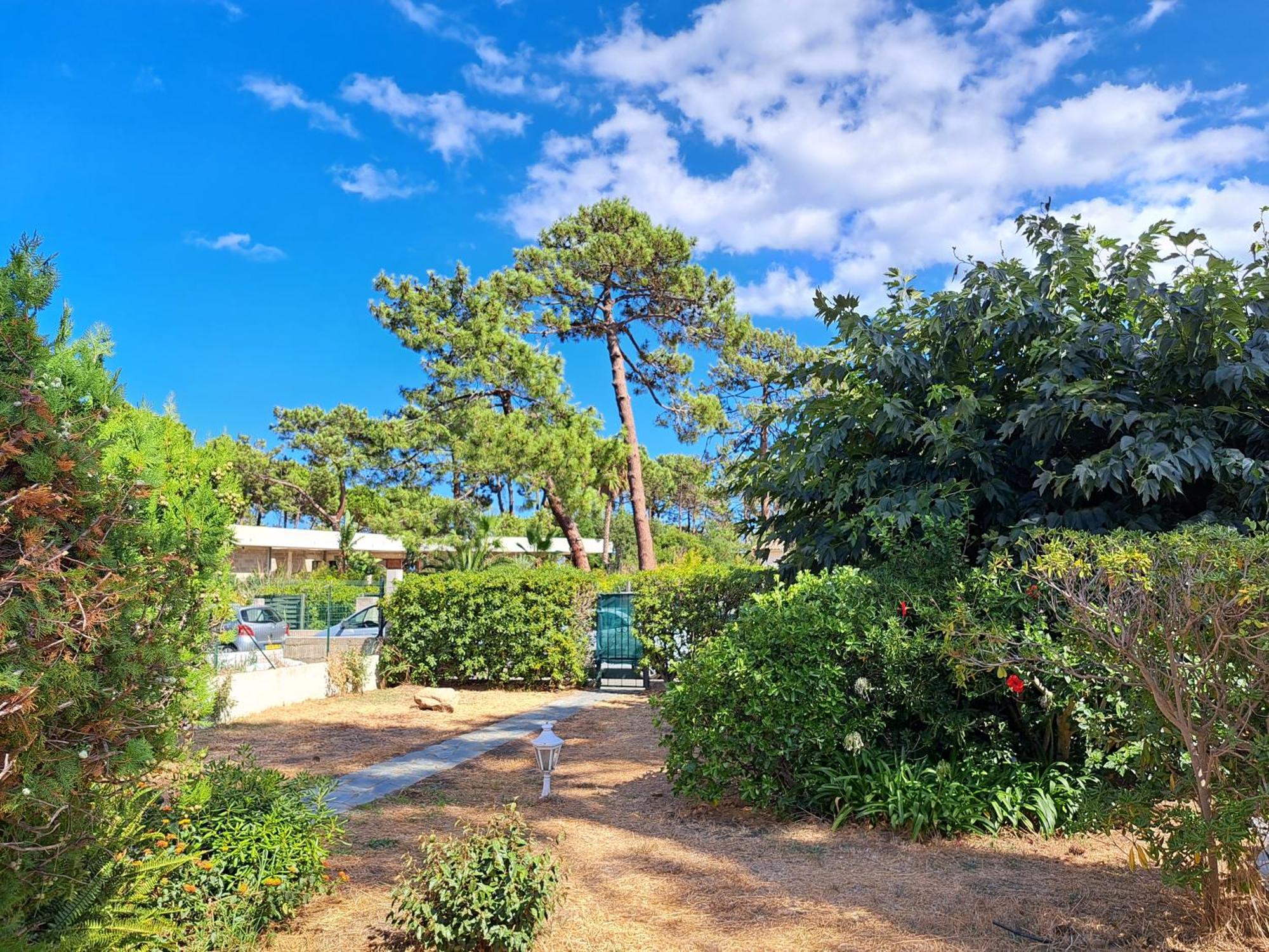 Mini Villa Jardin 50 M Plage Borgo  Εξωτερικό φωτογραφία