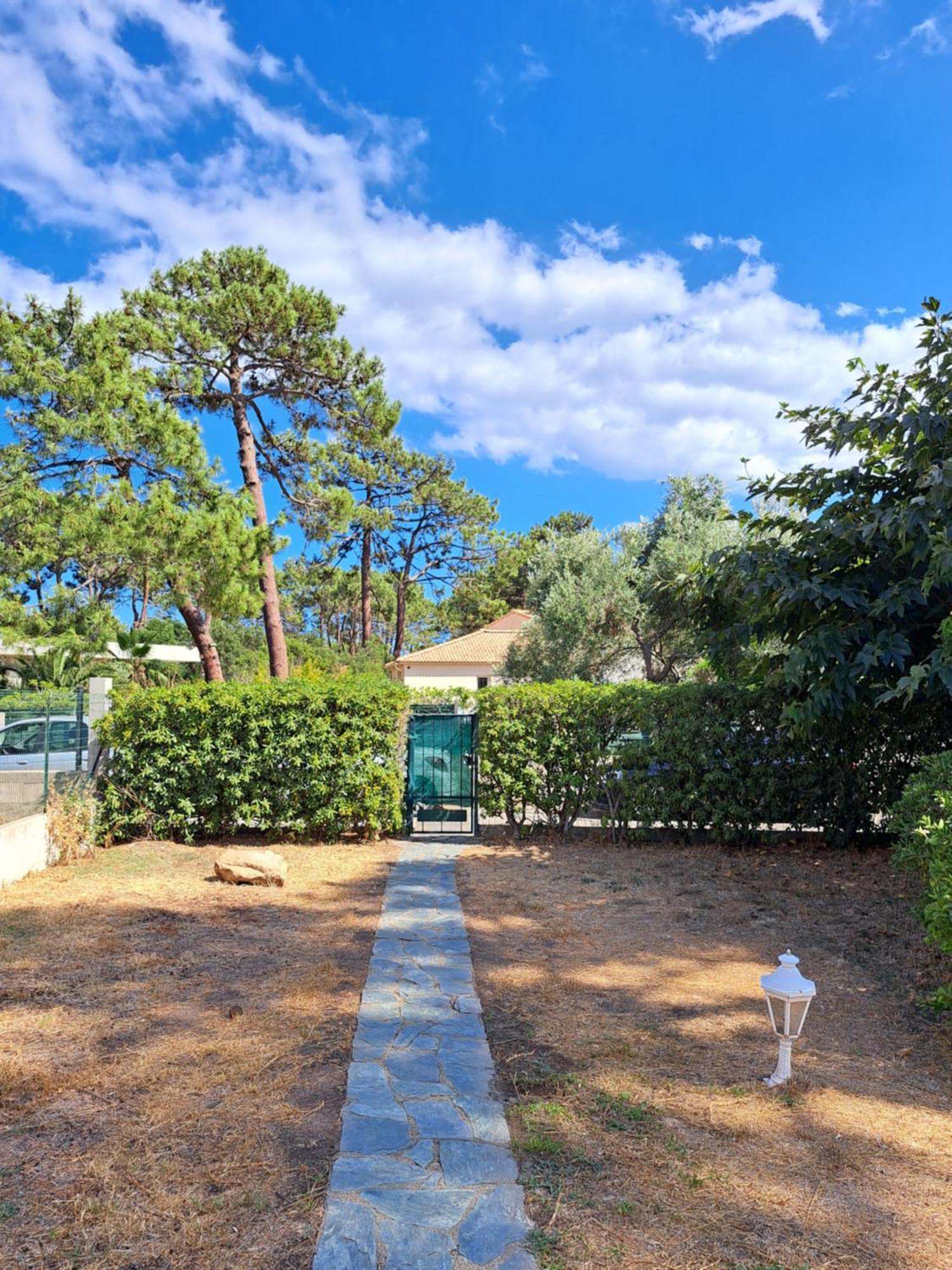 Mini Villa Jardin 50 M Plage Borgo  Εξωτερικό φωτογραφία