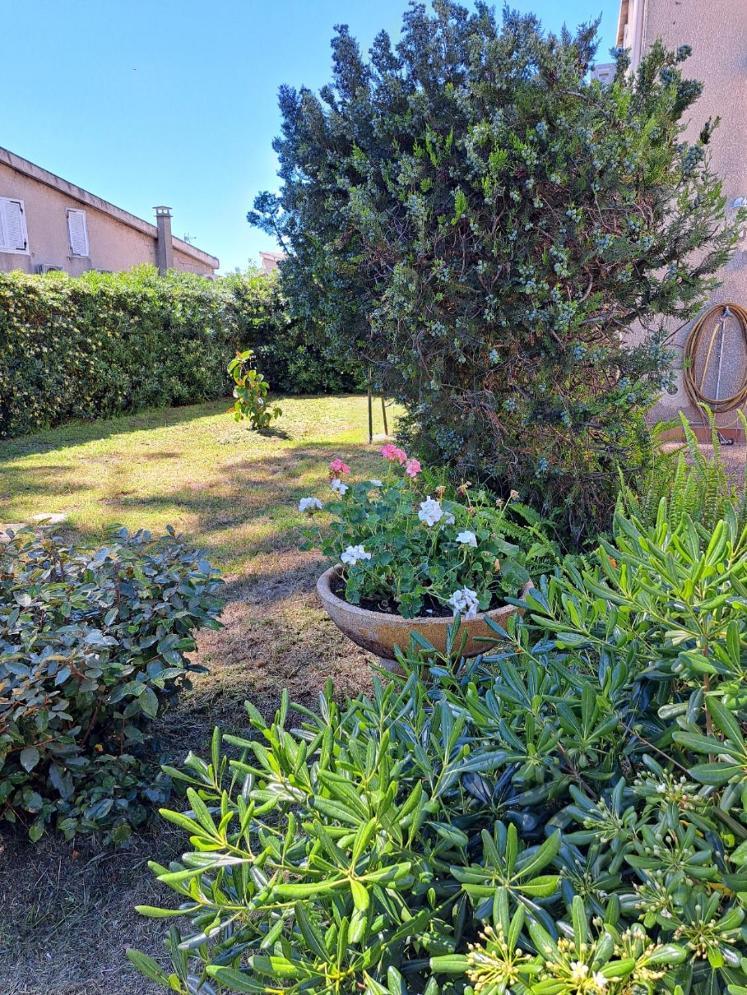 Mini Villa Jardin 50 M Plage Borgo  Εξωτερικό φωτογραφία