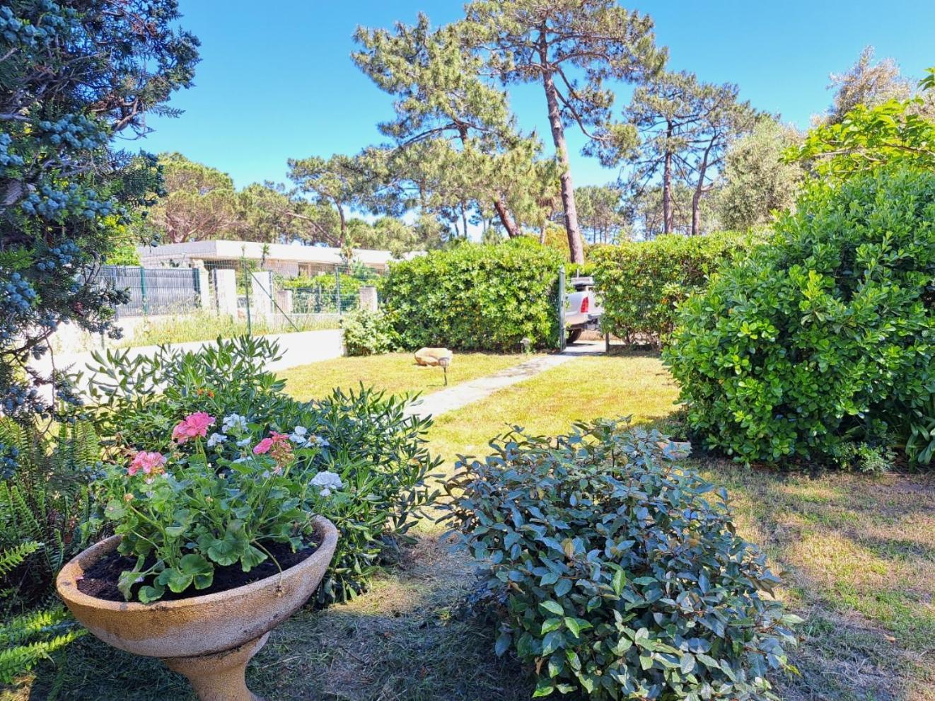 Mini Villa Jardin 50 M Plage Borgo  Εξωτερικό φωτογραφία